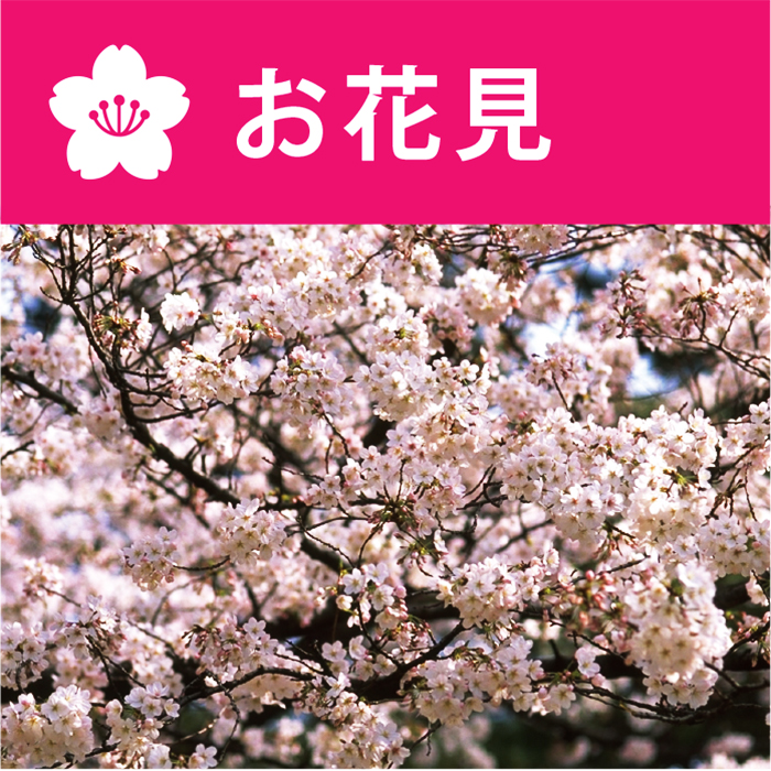 三木市内 桜の名所(お花見スポット) お花見