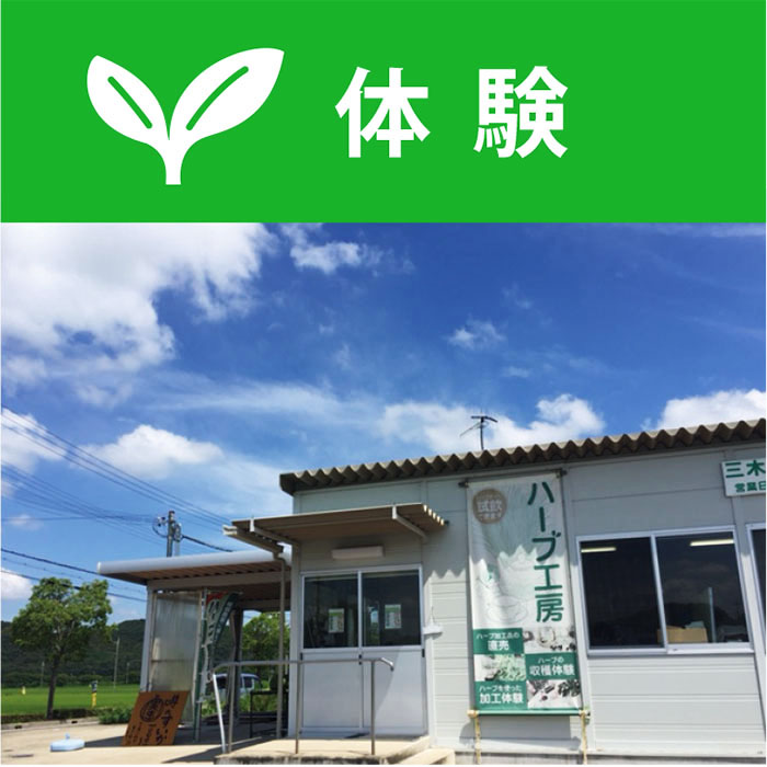 三木市立農産物工房(ハーブ工房)では、加工体験やハーブ狩りを楽しめます。 体験