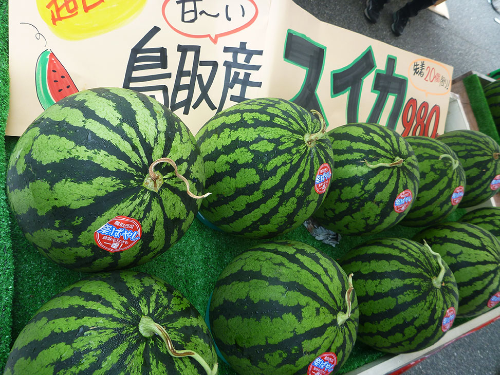 1玉980円(税込)の20個限定販売の鳥取産スイカ 20個限定販売の鳥取産スイカ